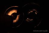 _mg_4064